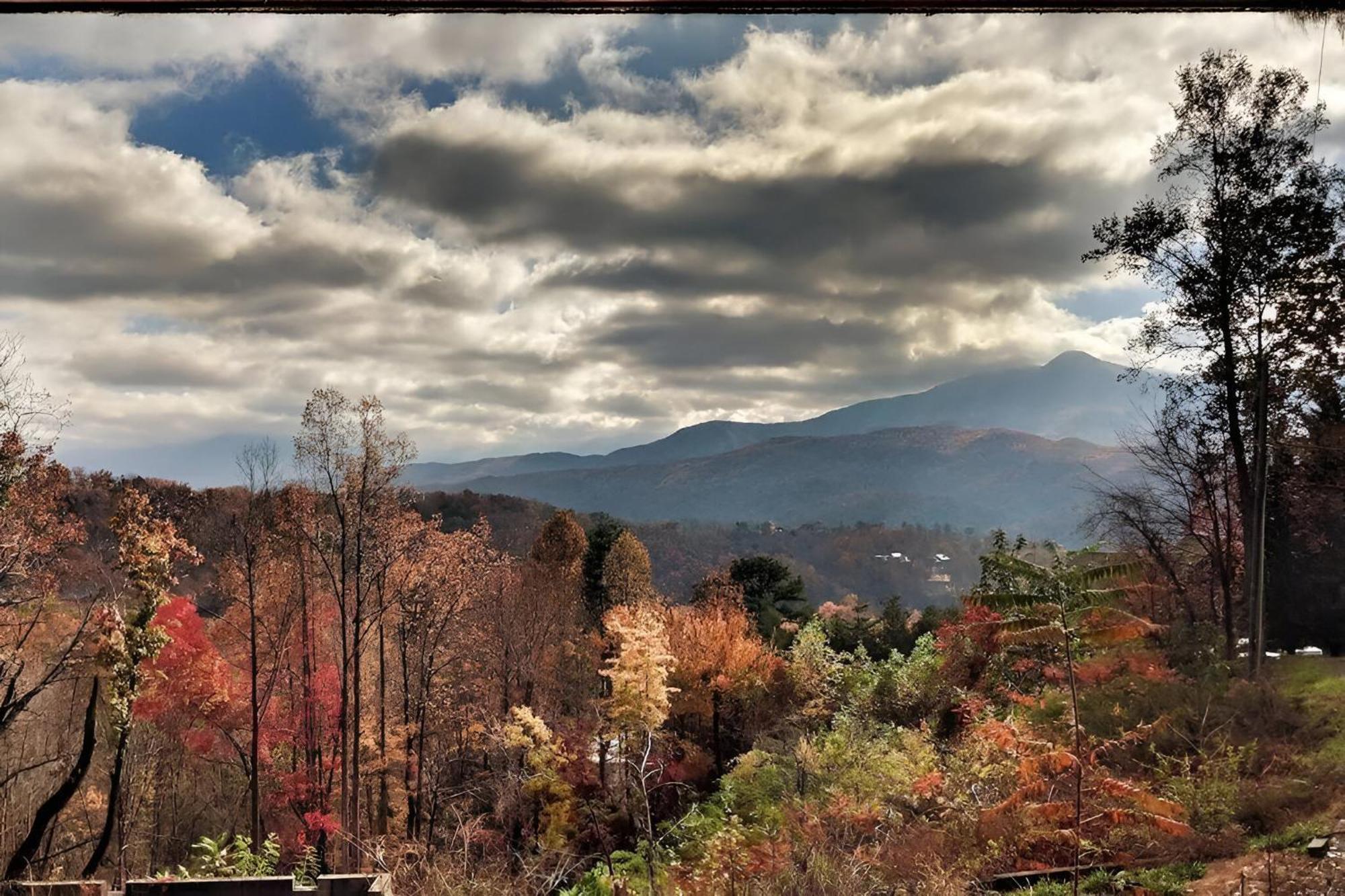 Prime Mountain Cabin - Near Galinburg Downtown جاتلينبرج المظهر الخارجي الصورة